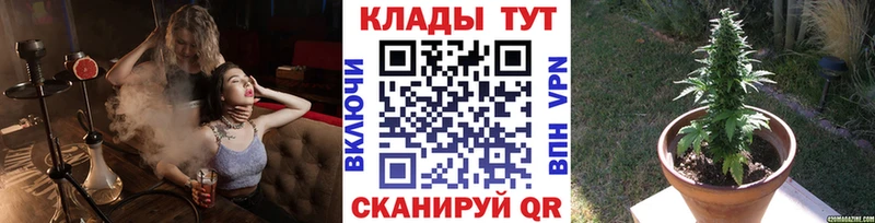 Наркошоп купить ГАШИШ  МАРИХУАНА  Меф мяу мяу  Заозёрный