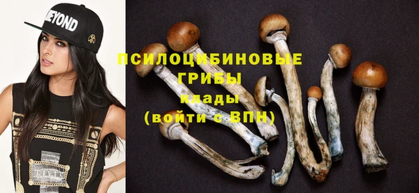 мдпв Покачи