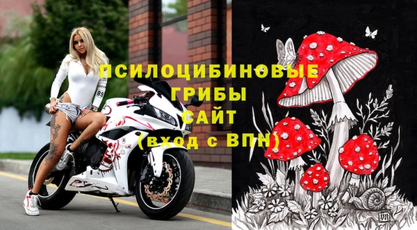 мдпв Покачи