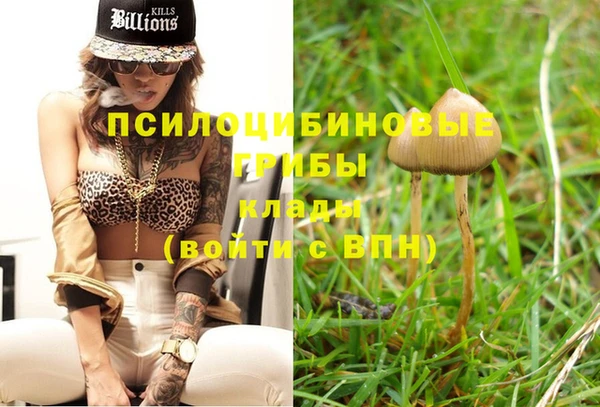 прущая мука Покров